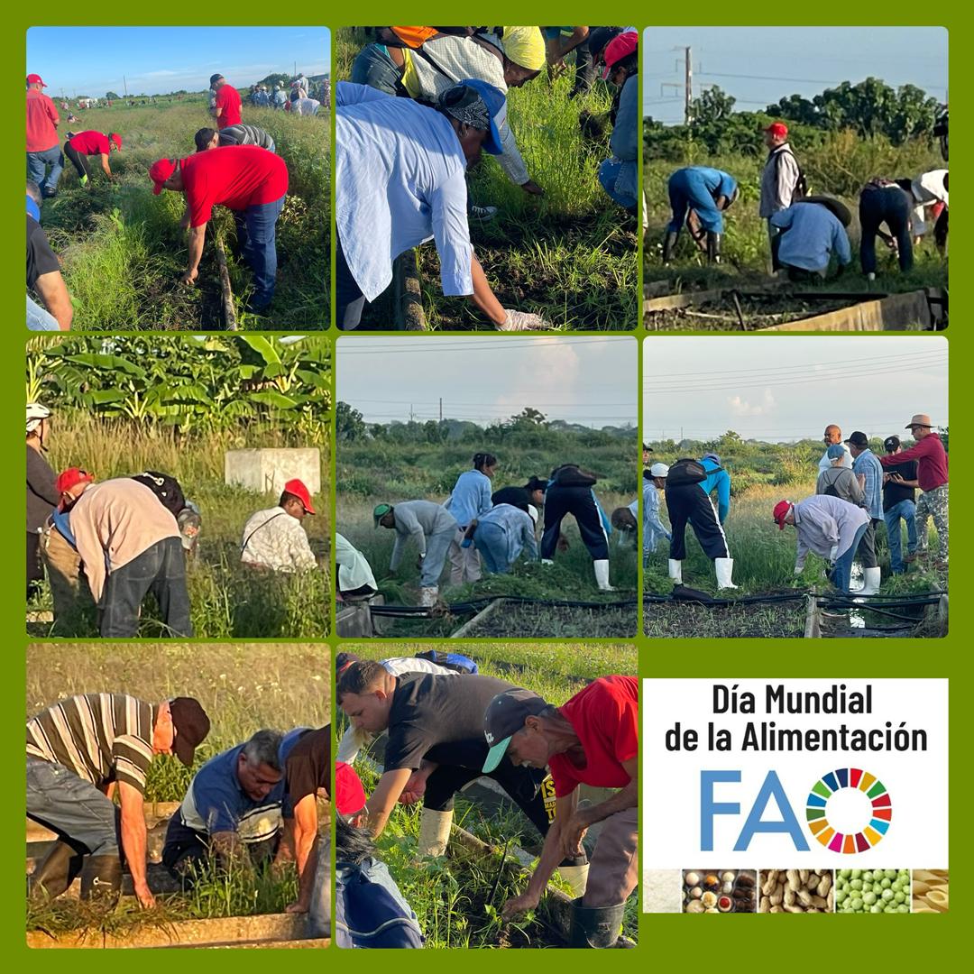 Producir alimentos es la premisa