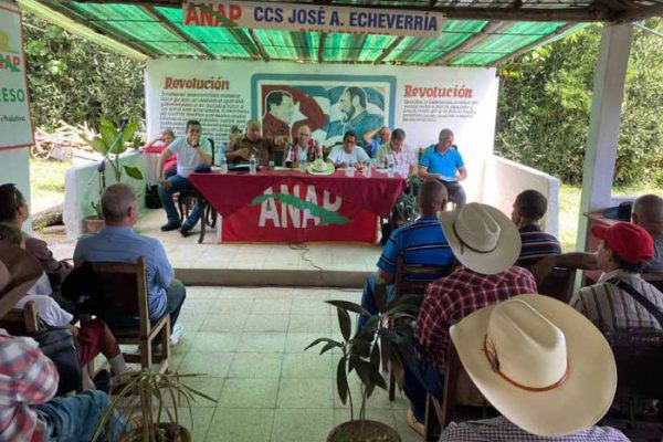 Instan a campesinos camagüeyanos a mejor gestión en cooperativas (+ Fotos)