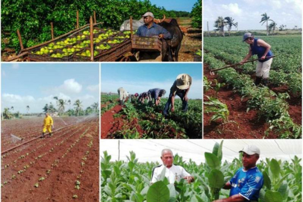 Condenan campesinos floridanos persistencia del bloqueo económico contra Cuba