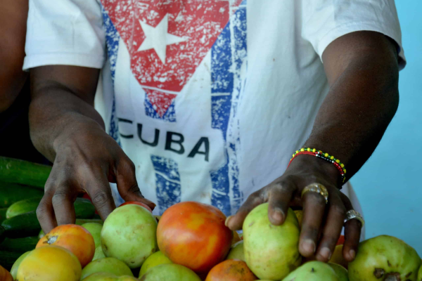 Participarán empresas y organismos camagüeyanos en feria comercializadora de productos demandados