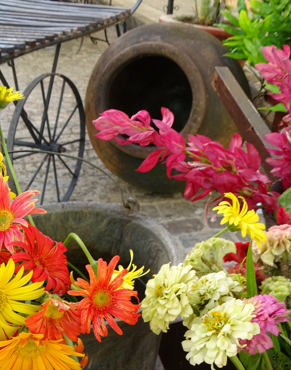Camagüey: un lugar donde la tradición abraza la belleza natural