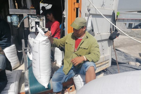 Incrementa actividad puerto de Nuevitas (+Fotos)