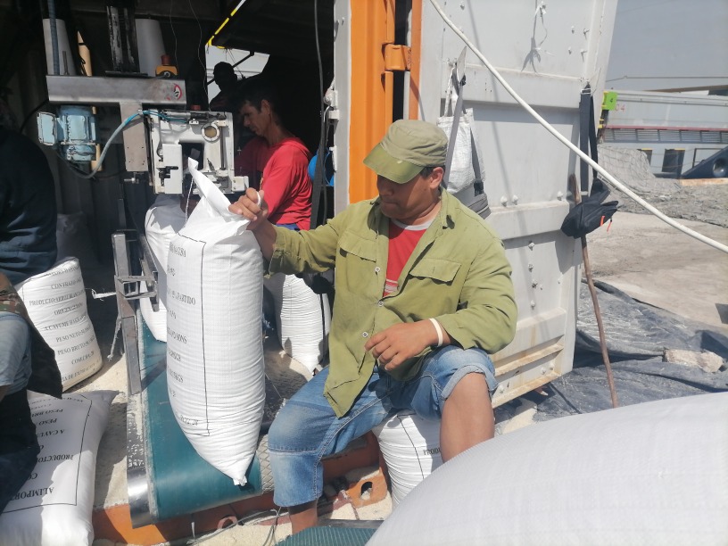 Incrementa actividad puerto de Nuevitas (+Fotos)