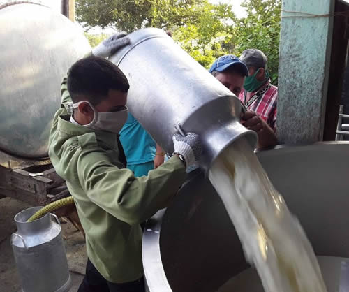 Prevén entregas de campesinos nueviteros a la industria láctea