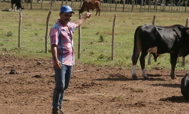 Aurelio Marrero Martínez, un ganadero de excelencia en Florida (+ Post)