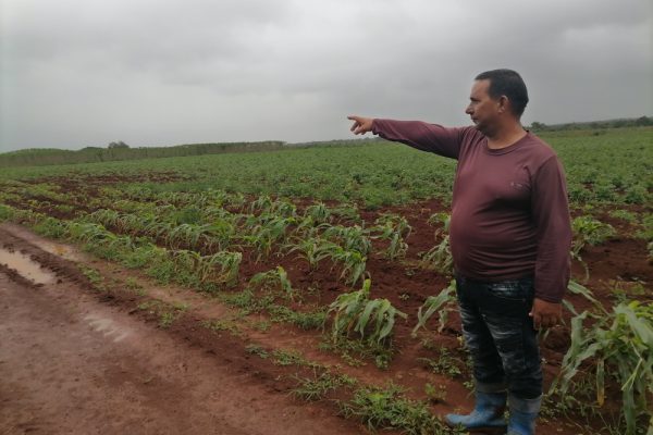 Con esfuerzo y amor Julio César transforma su tierra en abundancia (+ Fotos)