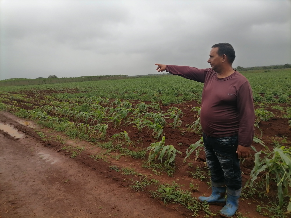 Con esfuerzo y amor Julio César transforma su tierra en abundancia (+ Fotos)