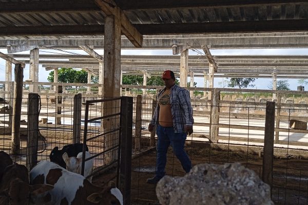 Cooperativa Dionisio Riandes destaca por su crecimiento y compromiso social