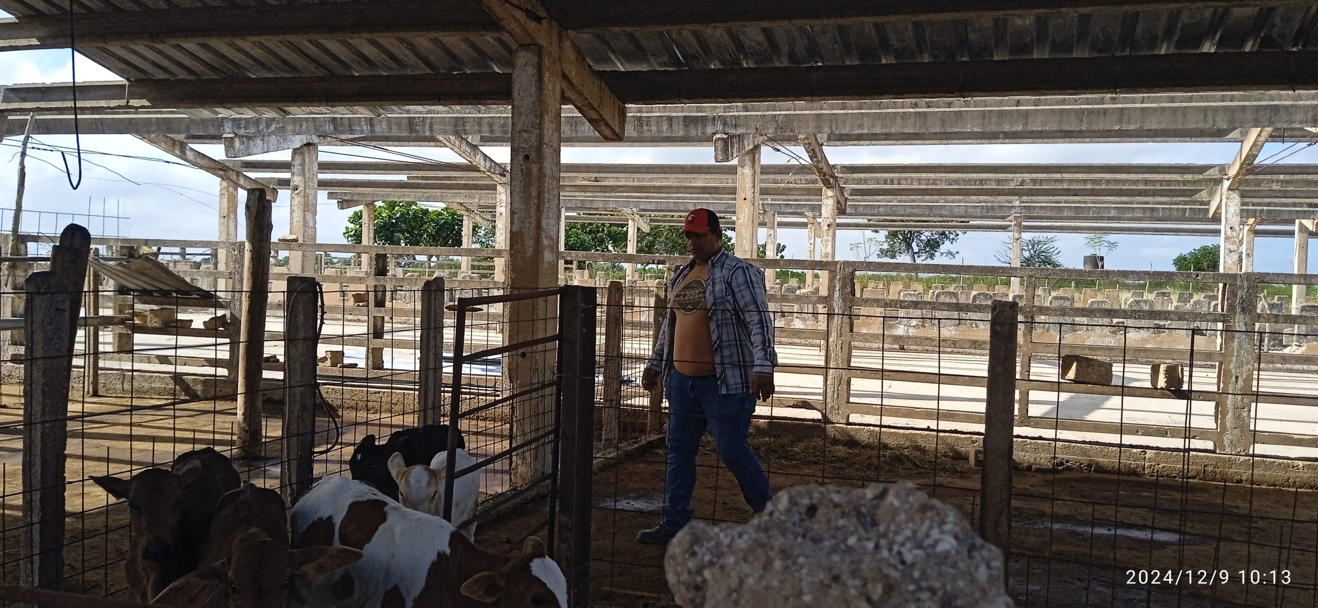 Cooperativa Dionisio Riandes destaca por su crecimiento y compromiso social