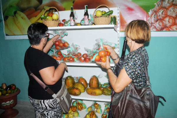 Frutas Selectas Camagüey alcanza buenos resultados mercantiles