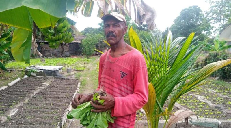 El jardín de Nelson Meléndez, símbolo del esfuerzo y la sostenibilidad familiar (+ Fotos)