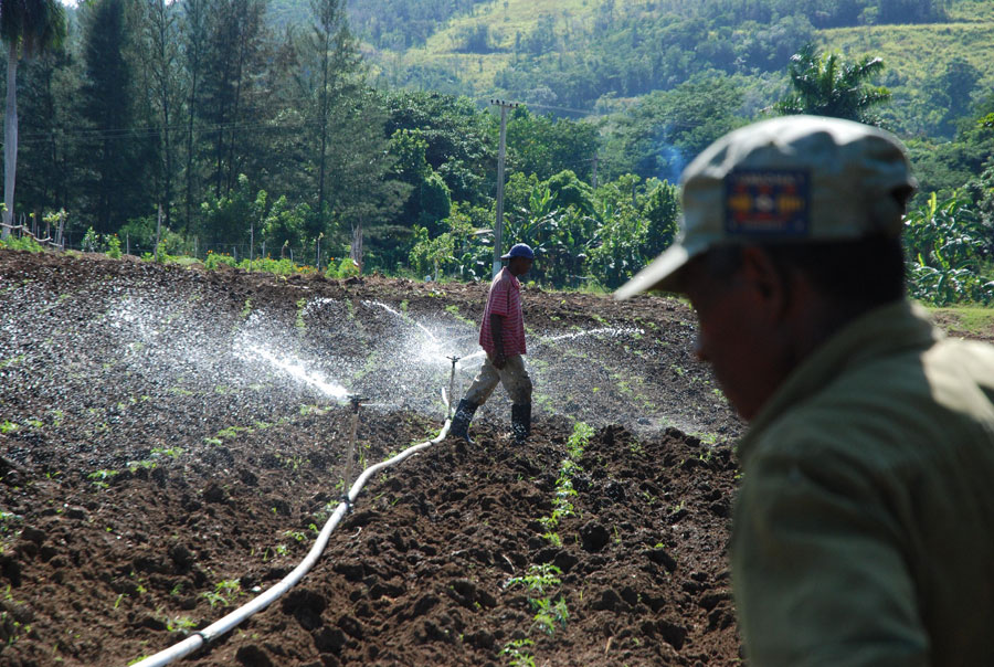 Cooperativa de Camagüey enfrascada en incrementar producciones agroalimentarias