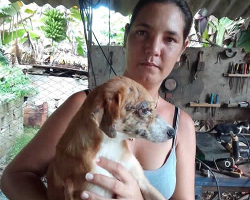 Ángeles callejeros: un hogar para los olvidados