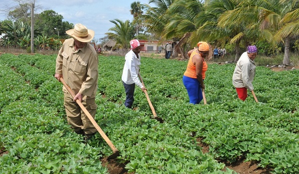 Iniciativas de sostenibilidad en Camagüey: modelo a seguir en Cuba