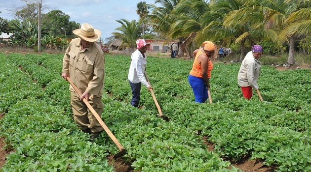 Iniciativas de sostenibilidad en Camagüey: modelo a seguir en Cuba