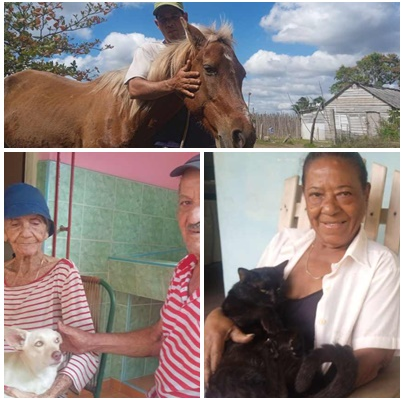 Cuidar a los animales: un compromiso comunitario más allá de la ley