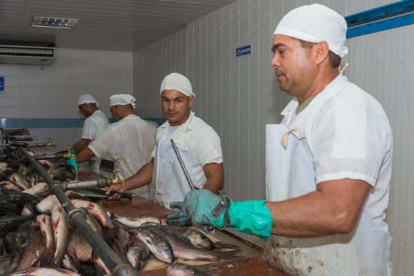 Unidad Empresarial de Base Estrella Roja impulsa producción de alimentos en Camagüey