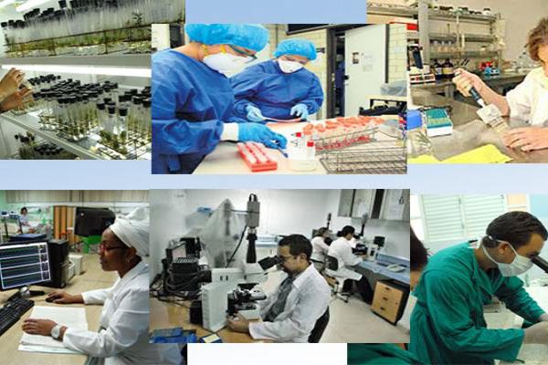 Camagüey con 18 trabajos en Feria Nacional de Innovación