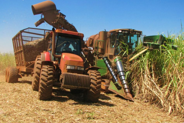Trabajadores de la Empresa Agroindustrial Azucarera Argentina listos para zafra