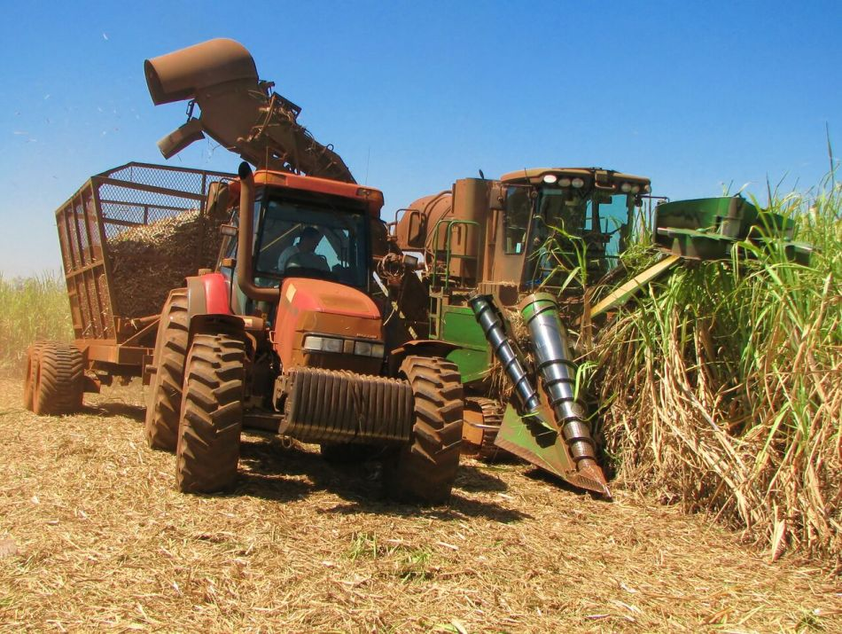 Trabajadores de la Empresa Agroindustrial Azucarera Argentina listos para zafra