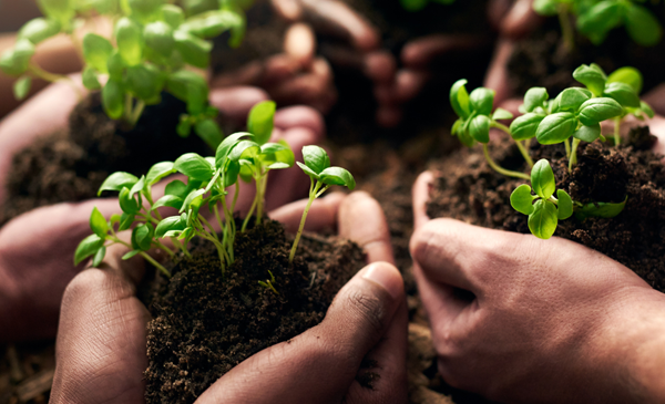 Asociación Cubana de Técnicos Agrícolas avanza hacia una agricultura sostenible en Camagüey (+ Fotos)