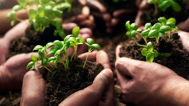 Asociación Cubana de Técnicos Agrícolas avanza hacia una agricultura sostenible en Camagüey (+ Fotos)