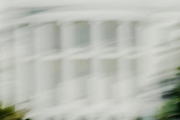 ¿Qué es lo que define el inicio del gobierno de Trump? La estupidez