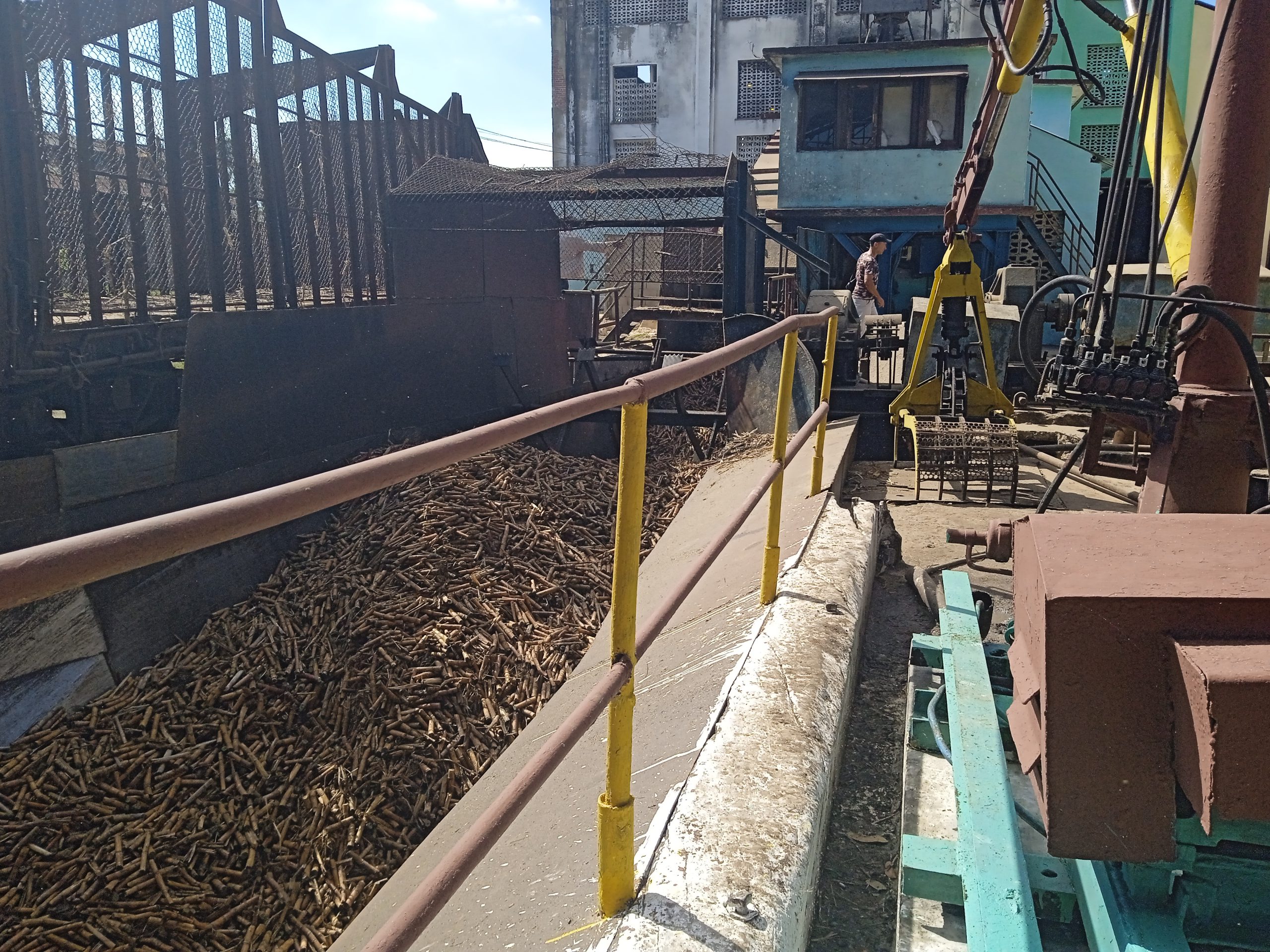 Azucareros de Céspedes implementan estrategias para una cosecha más productiva y sostenible (+ Fotos)