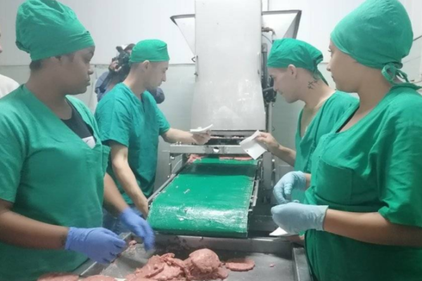 Producciones en el combinado Cesar Escalante