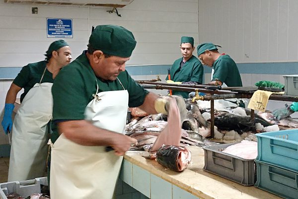 Acuinicú por mejores resultados