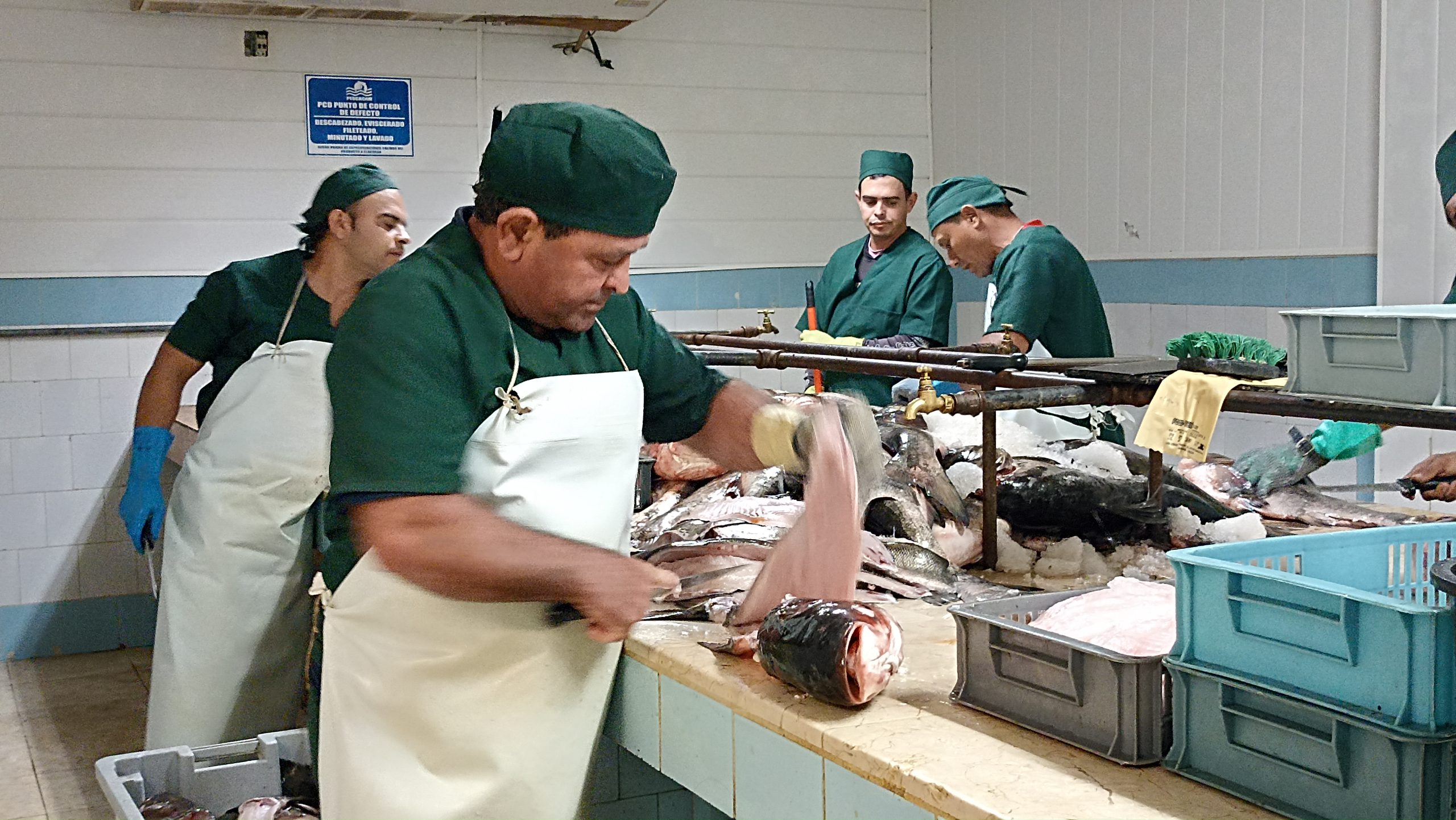 Acuinicú por mejores resultados