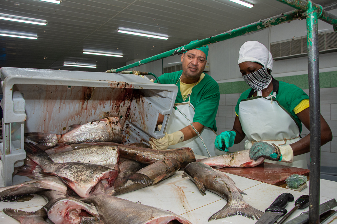 Empresa Pesquera Camagüey entre avances y retos pendientes