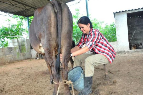 Empoderamiento femenino impulsa desarrollo agropecuario y cultural en Camagüey