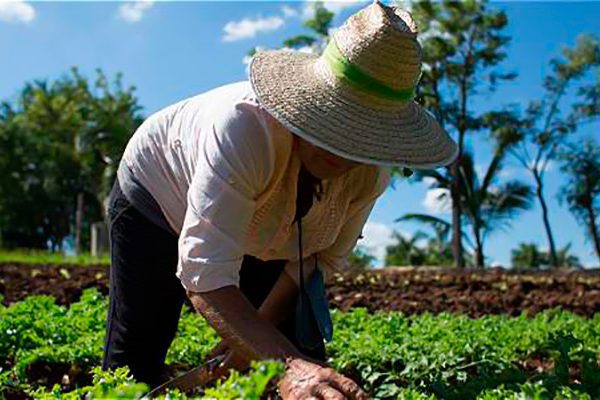 Campesinos de Florida proponen aprovechar fortalezas para mejorar sus resultados integrales
