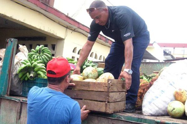 Fidencio Rodríguez: un ejemplo de generosidad y compromiso agrícola en Florida