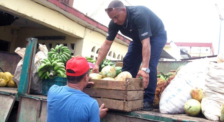 Fidencio Rodríguez: un ejemplo de generosidad y compromiso agrícola en Florida