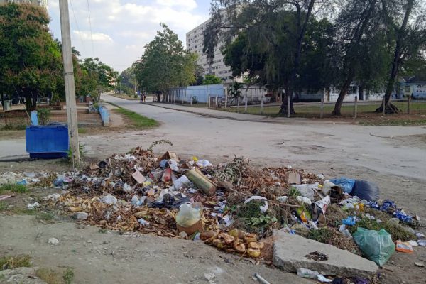 El problema de la basura no es solo responsabilidad de Comunales