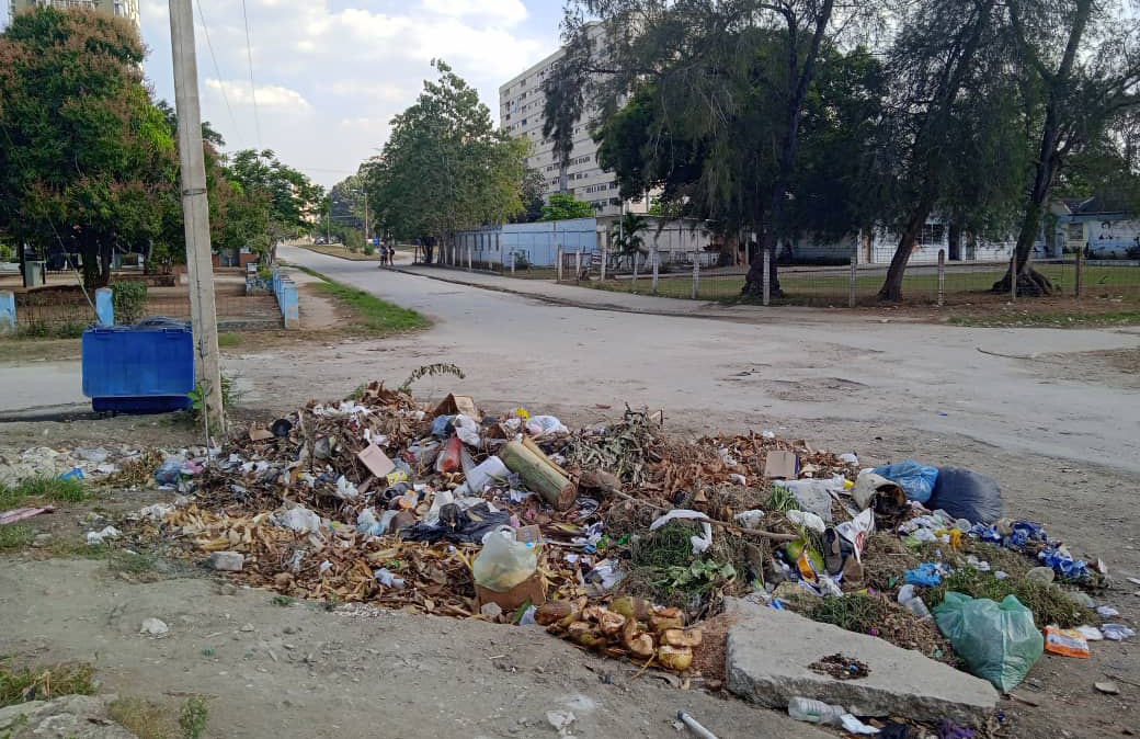 El problema de la basura no es solo responsabilidad de Comunales