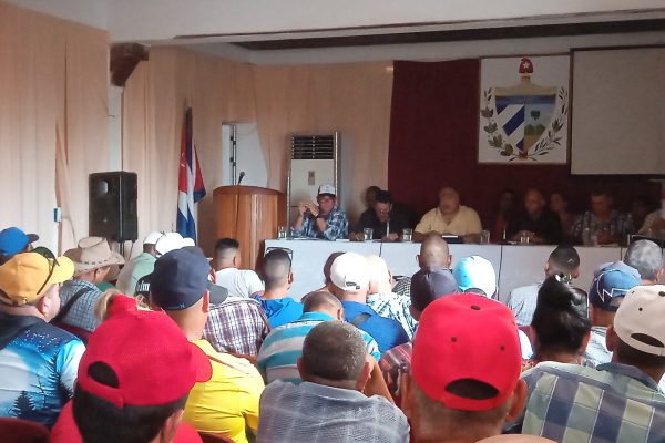 Camagüey busca soluciones para mejorar la producción de arroz