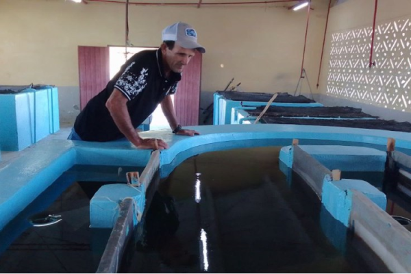 Carlos Pouza: un camagüeyano comprometido con la calidad en la producción de ciprinos