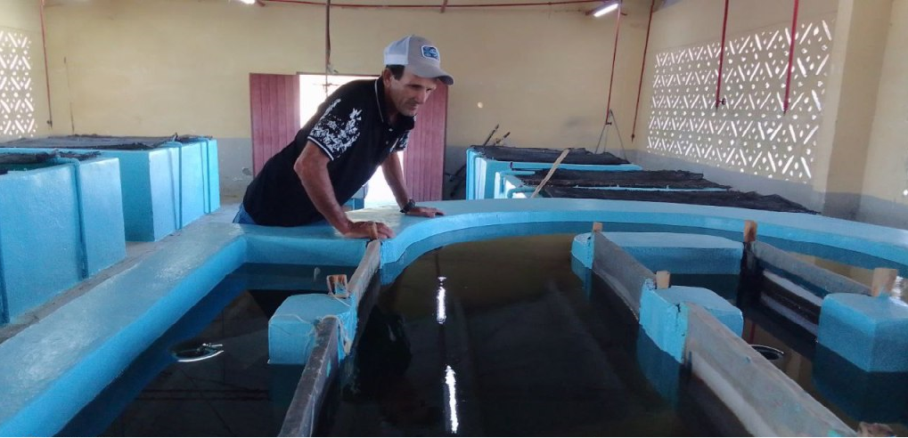 Carlos Pouza: un camagüeyano comprometido con la calidad en la producción de ciprinos