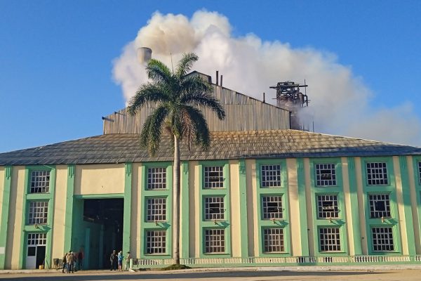 Azucareros camagüeyanos impulsan productividad y actividades recreativas para celebrar el Primero de Mayo (+ Fotos)