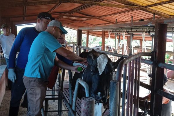 Proyecto internacional contribuye al desarrollo agroalimentario de Camagüey (+ Fotos)