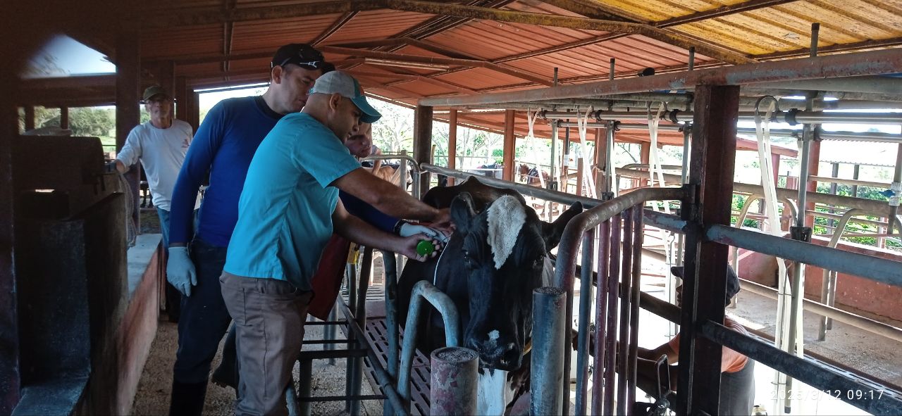 Proyecto internacional contribuye al desarrollo agroalimentario de Camagüey (+ Fotos)