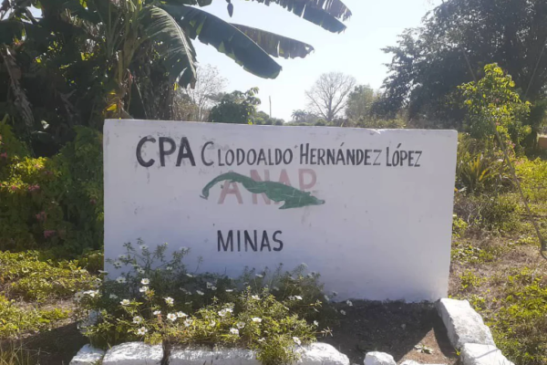 Minas: Cooperativa Clodoaldo Hernández, modelo de sostenibilidad y bienestar comunitario en Senado