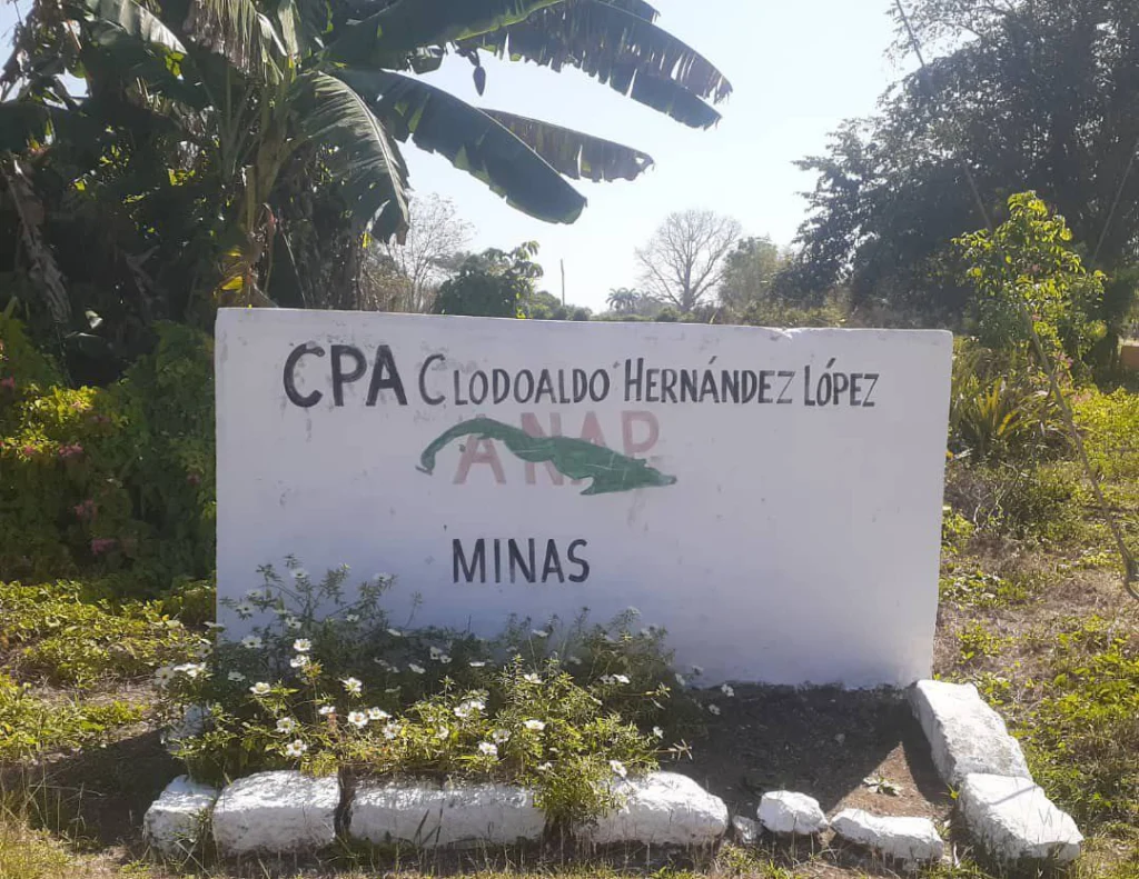 Minas: Cooperativa Clodoaldo Hernández, modelo de sostenibilidad y bienestar comunitario en Senado