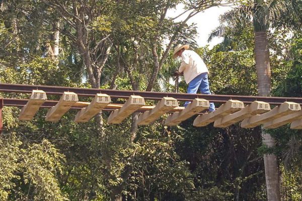 Avanzan trabajos de reparación para restablecer el ferrocarril del norte (+ Fotos)