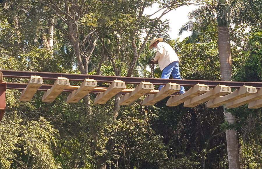 Avanzan trabajos de reparación para restablecer el ferrocarril del norte (+ Fotos)