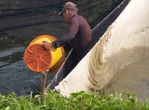 Pescacam inicia campaña de alevinaje