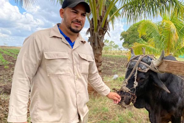 Destaca productor camagüeyano en aporte de alimentos al pueblo (+ Fotos)